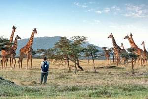 Arusha National Park dagstur med all-inclusive
