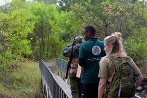 Parco Nazionale di Arusha: Safari a piedi e fotosafari