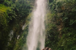 Randonnée dans la nature à Arusha jusqu'aux chutes d'eau de Napuru.