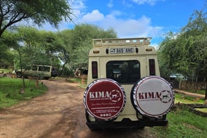 Arusha: Tarangire National Park-dagtour met gamedrive