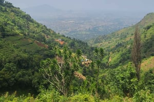 Arusha: 2-tägige Wander- und Campingtour im Uluguru-Gebirge