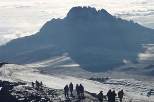 Escalada do Monte Kilimanjaro pelo circuito norte 8 dias