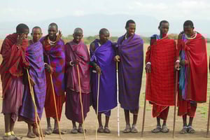 Dar es Salaam:2 dias de Amazing Maasai e Parque Nacional Mikumi