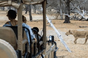 Dar es Salaam: 4-dniowa wycieczka safari po Parku Narodowym Nyerere