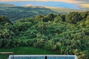 Dar es Salaam: 4-dagars Ruaha Predator & Photography Safari