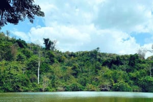Dar es Salaam : excursion de 2 jours avec camping dans la réserve forestière de Pugu Hills
