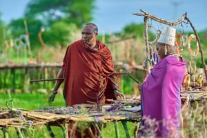 Passeio de um dia ao Parque Natural de Makuyuni com visita à aldeia Maasai