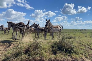 Tagesausflug zum Tarangire-Nationalpark