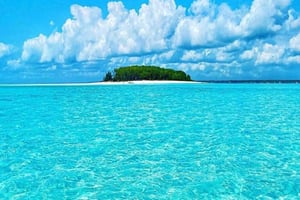 Delfines y snorkel en Zanzíbar: excursión a la isla de Mnemba