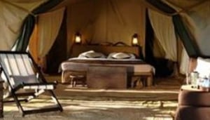 Dunia Camp Serengeti