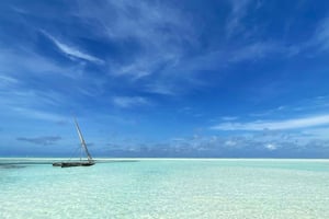Exclusive Private Dhow Snorkeling Tour in Jambiani, Zanzibar