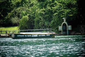 Erlebe 3 Tage Schimpansen-Beobachtung im Gombe Stream Nationalpark
