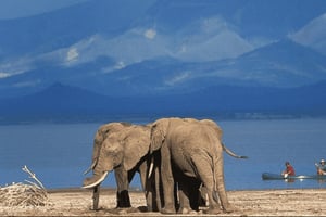 A partir de Arusha: Safári de 4 dias no Vale do Rift com alojamento