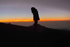 Из Аруши: 5-дневное семейное сафари в Танзании