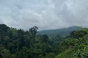 Från Arusha: Ilkidinga Village och Napuru-vattenfallen