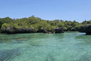 DESDE KENDWA: Snorkel en Mnemba y excursión con delfines.