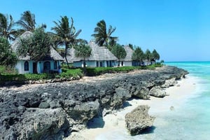 キリマンジャロ発：フライト付き3日間ザンジバルツアー