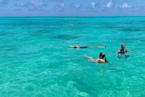 FROM MICHAMVI /PAJE : MNEMBA DOLPHIN TOUR & SNORKELING