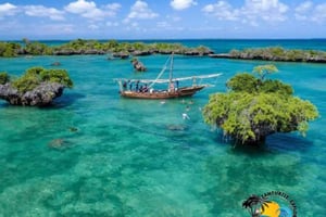 Från Nungwi/Kendwa: Safari Blue-utflykt med lunch och sandbank