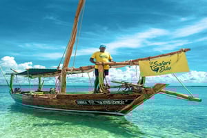 Depuis Nungwi : Safari Blue Tour avec plongée et déjeuner