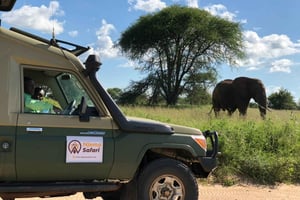 Vanuit Zanzibar: Mikumi Nationaal Park begeleide safari