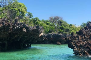 Da Zanzibar: tour della fattoria delle spezie, della foresta di Jozani e della grotta di Kuza