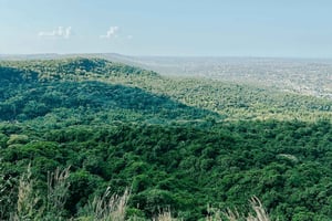 Heldagstur til Pugu Forest fra Dar es Salaam