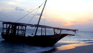 Gallery Tours and Safaris