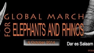 Global March for Elephants & Rhinos