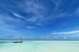 Exclusieve privé snorkeltour met een dhow in Jambiani, Zanzibar