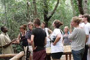 Jozani Forest and Salaam cave