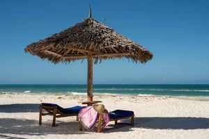 Jozani Forest & Paje Beach Trip with The Rock Restaurant