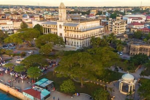 Foresta di Jozani, Stone Town e fattoria delle spezie con pranzo tradizionale