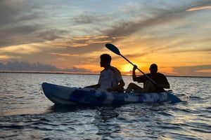 Excursión en kayak por los manglares