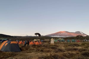 Килиманджаро: двухдневный поход по плато Шира и восхождение на пик с ночевкой в лагере