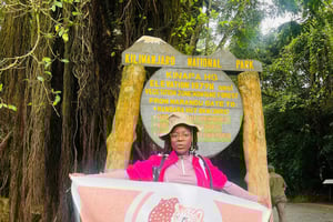 Kilimanjaro Day Trek on Either Lemosho, Marangu, or Machame