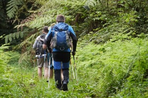 Kilimanjaro: Dagtrip - hike naar Mandara Hut Kilimanjaro 2700m