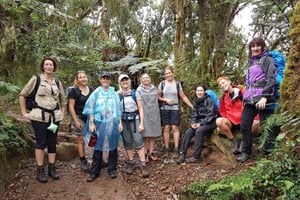 gita di 1 giorno sul kilimangiaro