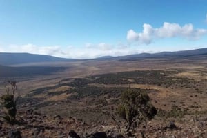 Kilimanjaro: Marangu Route 5-dagars vandring