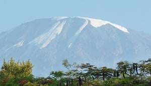 Kilimanjaro Self Catering Cottage