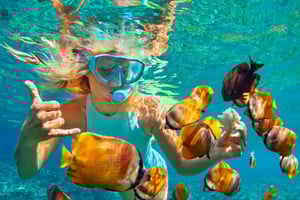 Passeio de dia inteiro em Kizimkazi com snorkeling, golfinhos e churrasco