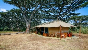 Lemala Ngorongoro Camp