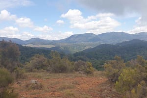 Занзибар: лес Джозани, пещера Салам и пляж Мтенде