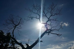 Lushoto: gita di 1 giorno alle cascate Soni e ai monti Usambara