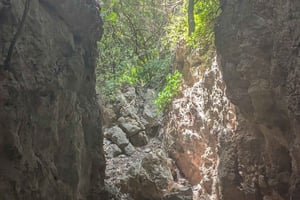 Makunduchi-landsbyen: Kulturell og spirituell tur