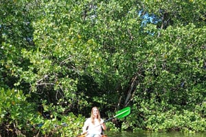 Tour in kayak tra le mangrovie all'isola di Uzi con visita del villaggio