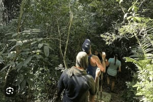 Поход по лесу Масингини, зиплайн, экскурсия на ферму специй и обед