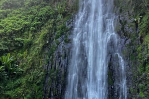 Arusha: Cascate di Materuni, sorgenti termali e/o tour del caffè