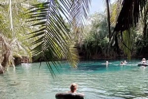 Cascades de Materuni, visite guidée sur le thème du café et sources chaudes de Kikuletwa