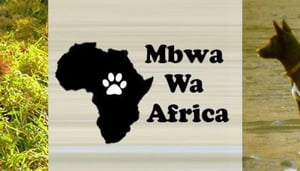 Mbwa Wa Africa Animal Rescue & Kennel Service